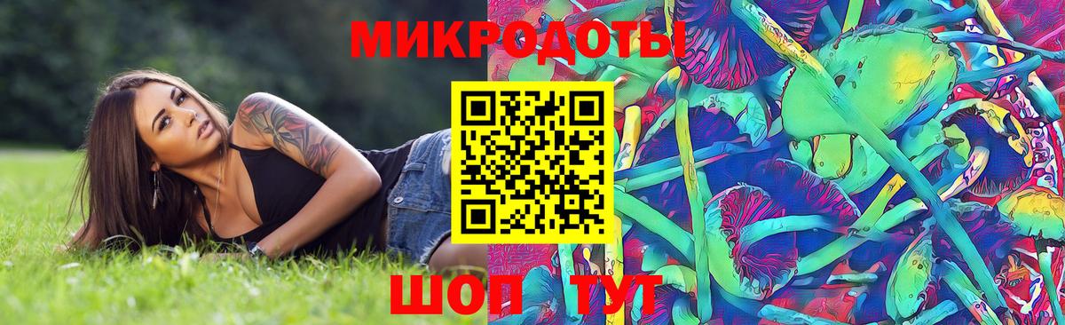 Ногинск  Галлюциногенные грибы прущие грибы  Вход с VPN 